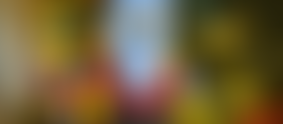 I’m Getting Ornamental