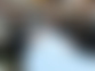 プロジェクト会議