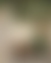 Our Refuge in Times of Calamity