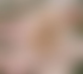 Joyful Remembrance - The Day of Your Salvation