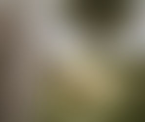 Down But Not Destroyed - Allowing Others to See Christ in You