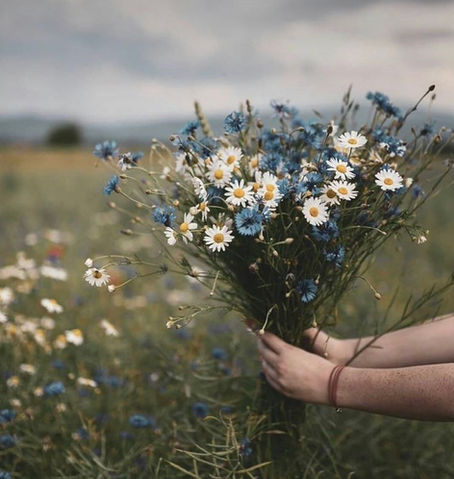 Joy in Countenance