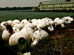 Hudson Buoys