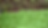 DSC_0301.png