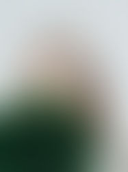 Safeguarding Data Privacy While Providing a Personalized Experience 