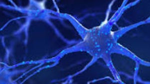 NLP training Malaysia neuro-linguistic programming concept