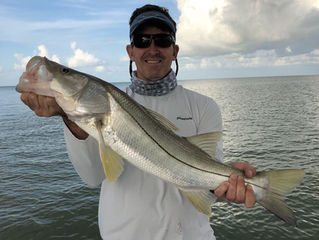 Snapper and Snook Bliss
