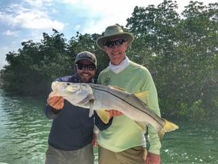 Fishing for Big Snook in the Everglades