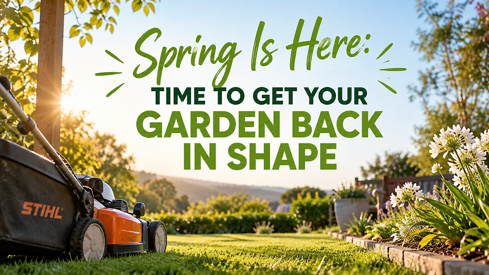 Spring Is Here: Time to Get Your Garden Back in Shape