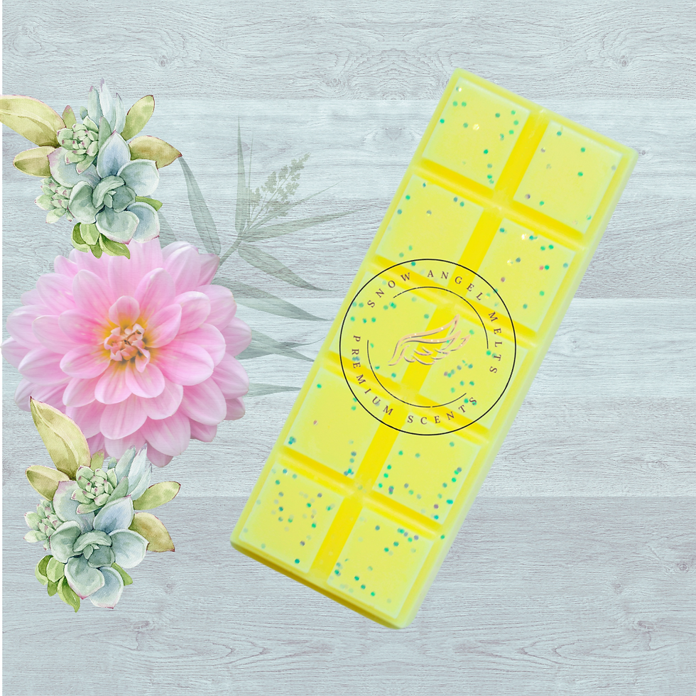 Mimosa Fizz Fragrance