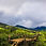 Thumbnail: Dzukou Valley Exploration Trek
