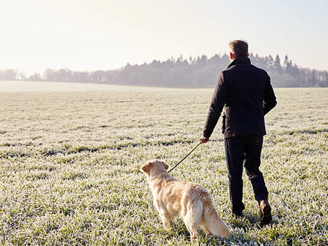 Addie - A Short Story