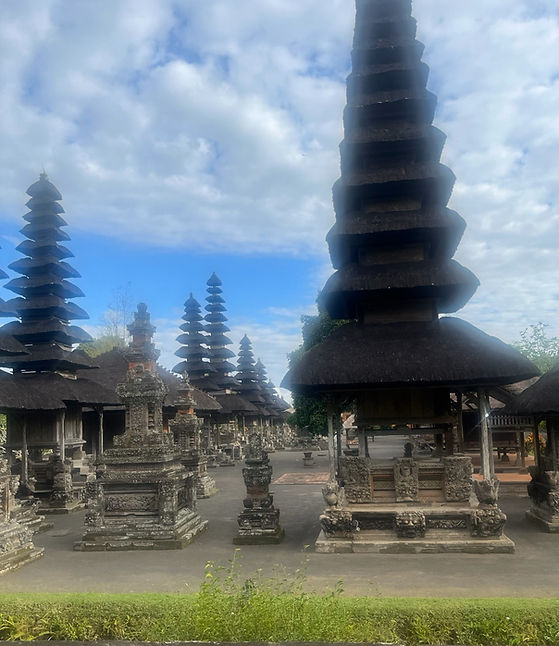 IMG_7682 (2)bali.jpg