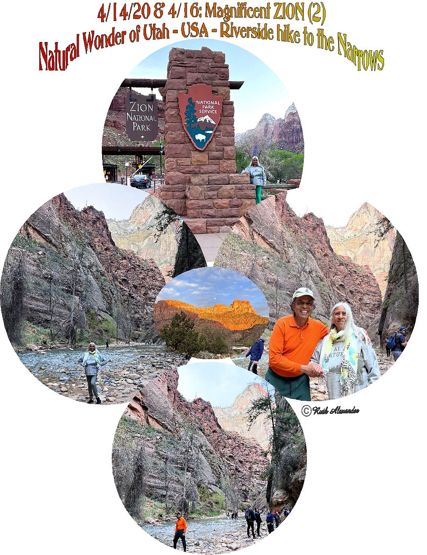 zion2.jpg