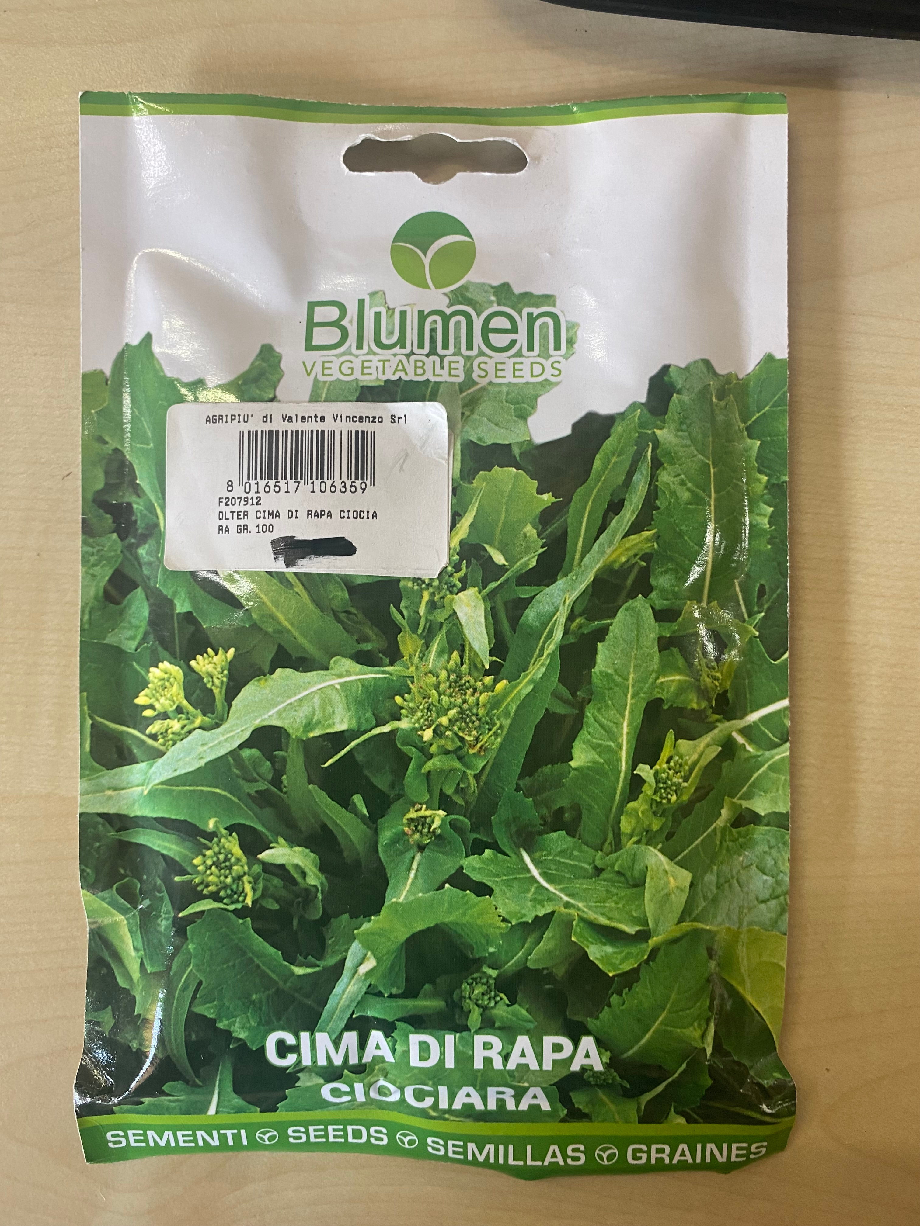 CIMA DI RAPA CIOCIARA - BLUMEN