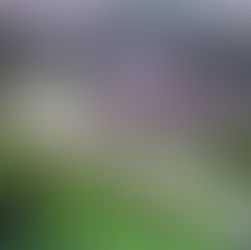 CUMHURBAŞKANLIĞI KÖŞKÜ ( PEMBE KÖŞK )