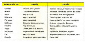 De la ansiedad al estrés