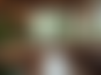 パリッシュカフェの日常と活動を探る