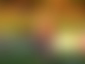 Auswärtssieg in Illertissen