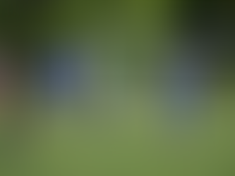 Donnerstagabend gegen Rettenberg