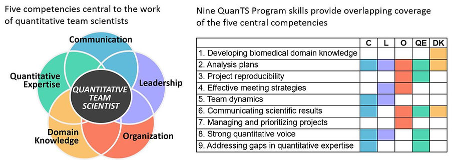 competencies and skills.JPG