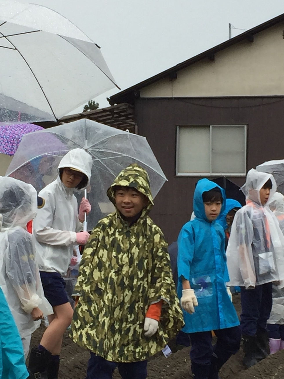 20180513芋植カートンドック_180520_0094
