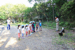 20150821風トンボ011