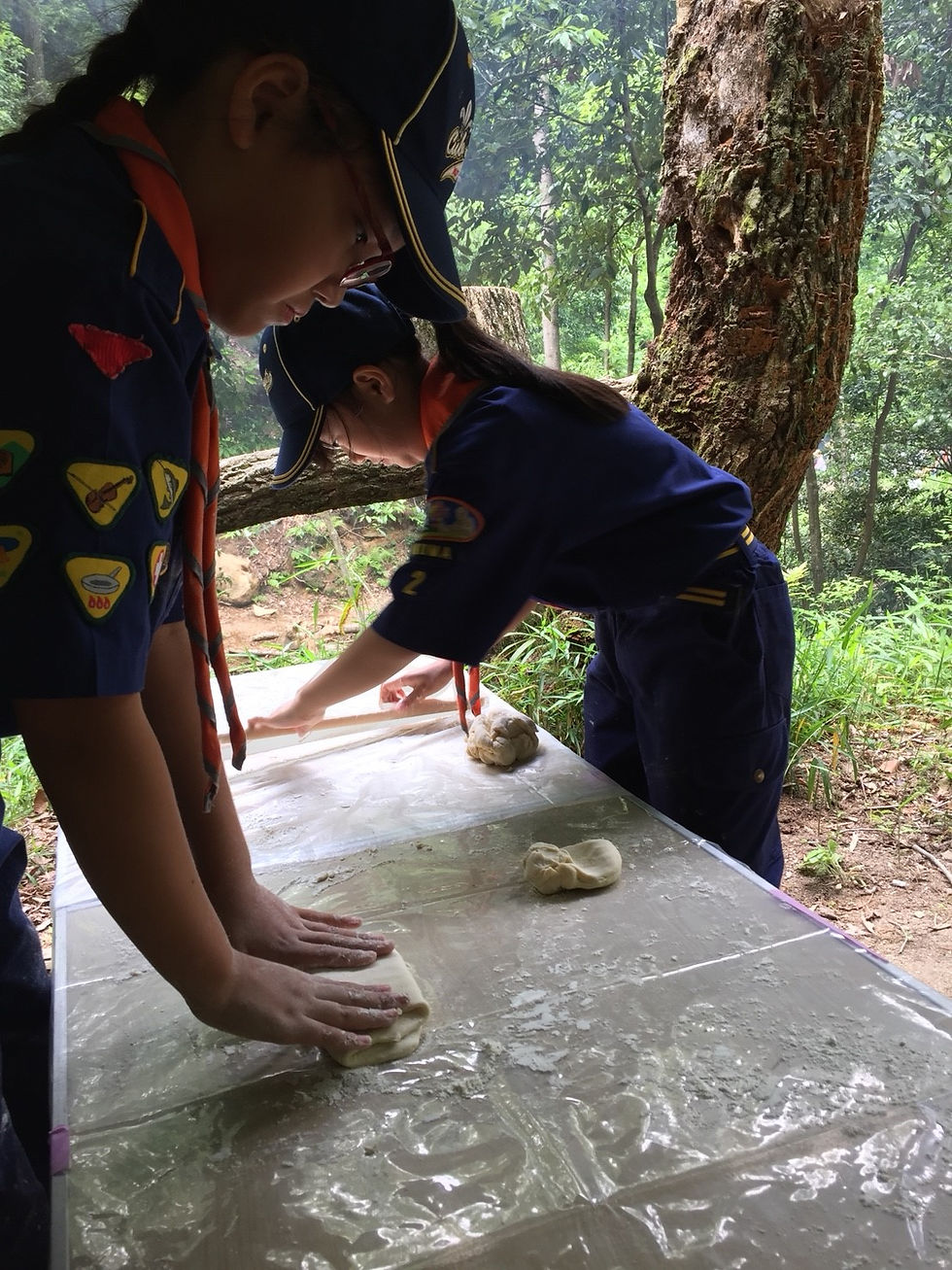 20180527募集野草天ぷらうどん_180624_0019