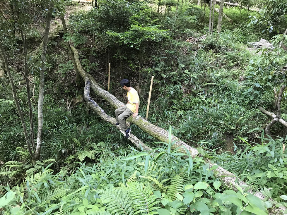 20180701　ボーイ隊班集会_180701_0016