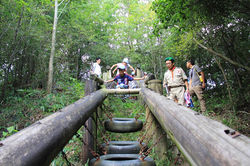 20150821風トンボ016