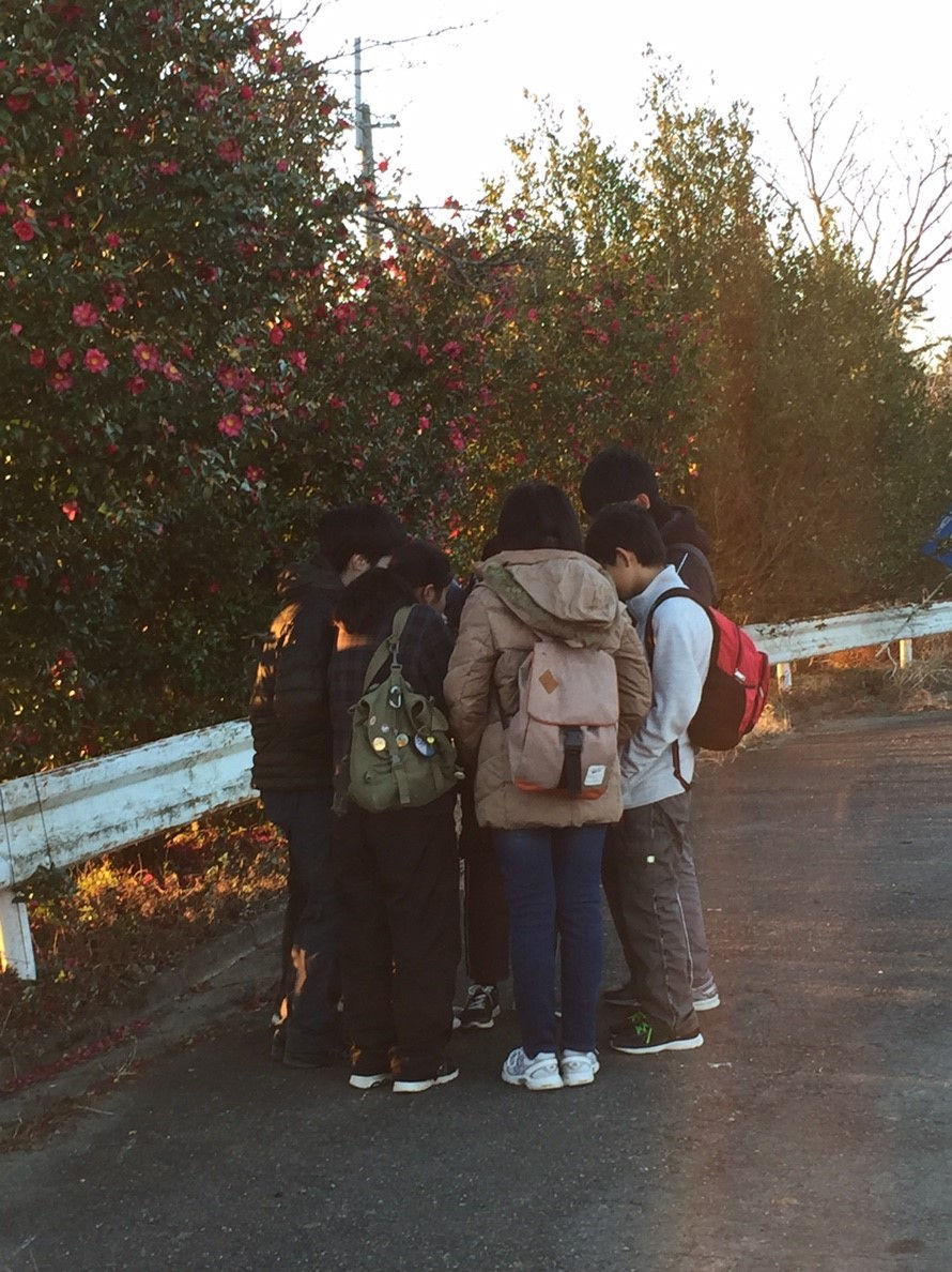 201911 元旦ハイク_190113_0004