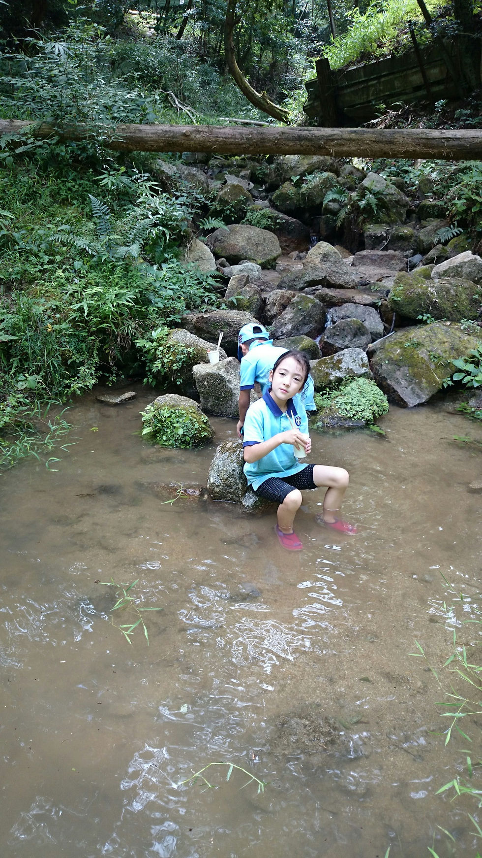 20160821ビバビバビーバー_7592