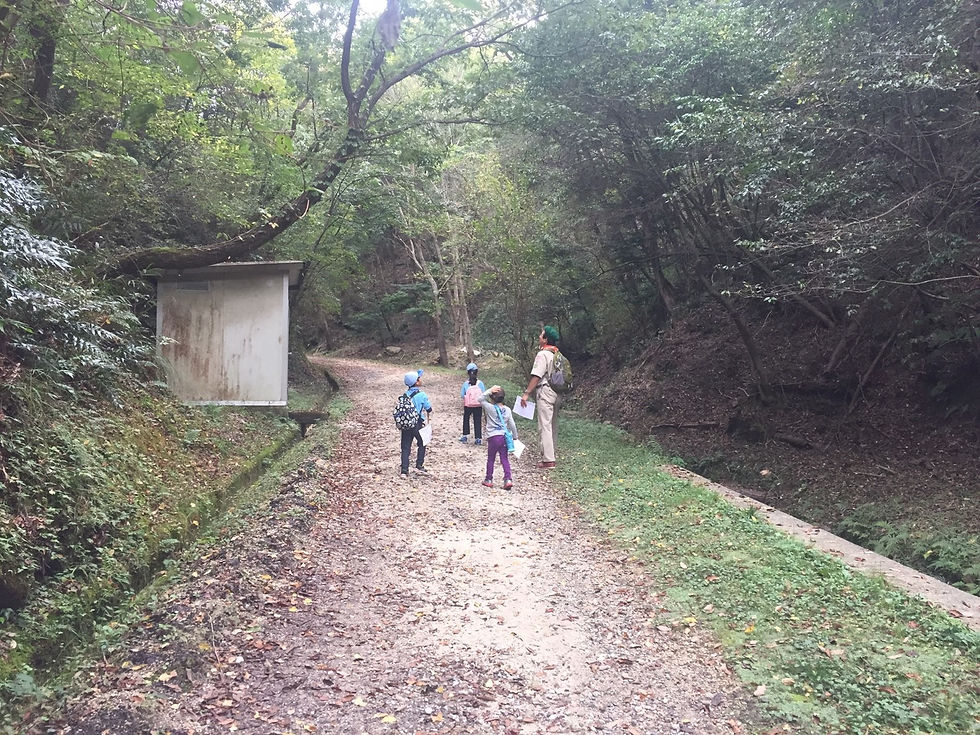 20161023ハイキングでヤッホー_6059