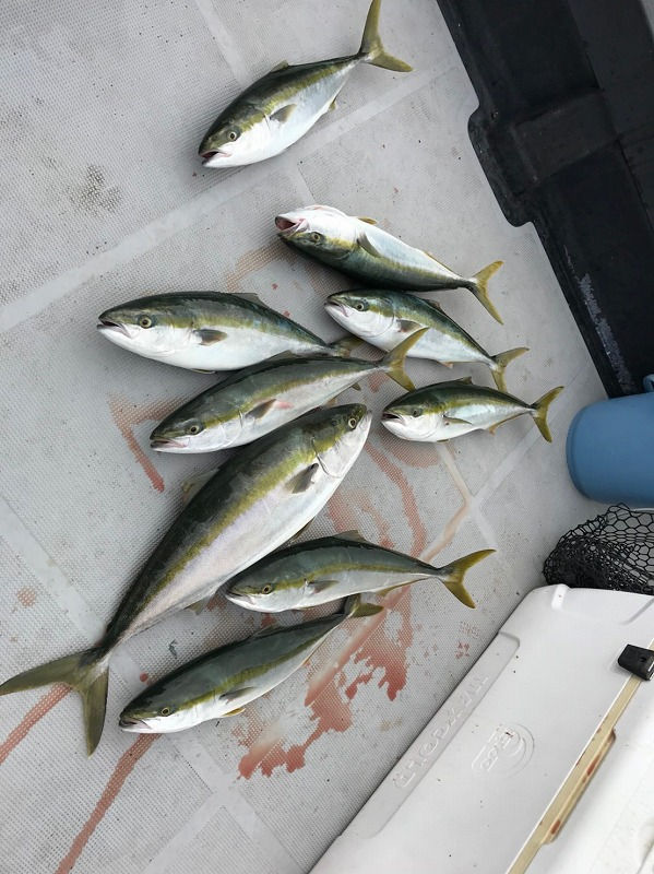 20180923ボーイ隊 船釣り_181014_0004