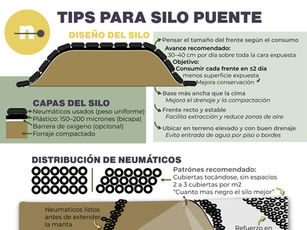 Cómo tapar un silo puente correctamente (y cuántas cubiertas usar por m²)