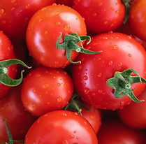 tomatoes-gb75f9a4d7_1920.jpg