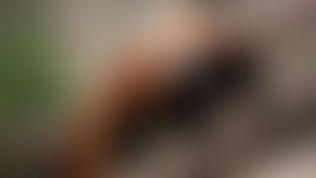 Wildlife Trafficking in Southeast & South Asia: A Dire Challenge