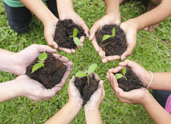 plant-holding-hands-e1536390692962.jpg