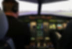 Flight Sim
