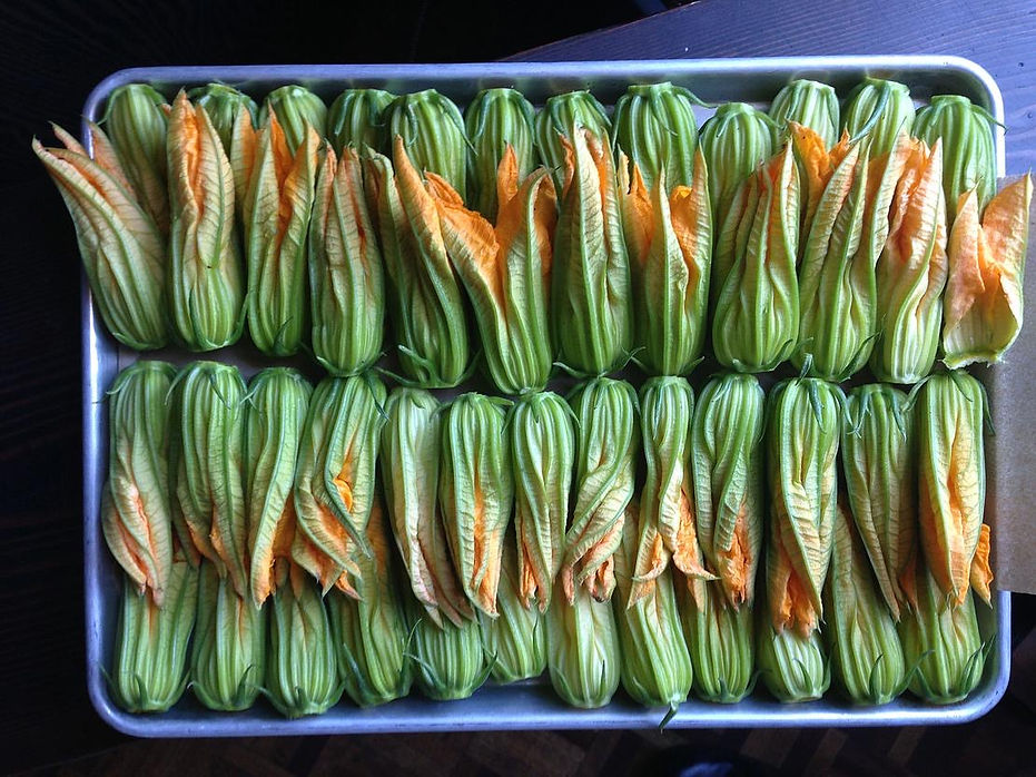 zucchini blossoms.jpg