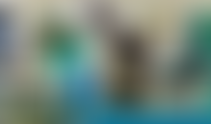 Exploring Belize's Natural Wonders: 8 Must-Visit Parks and Reserves