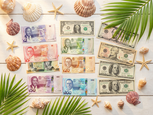 Belizean and US banknotes on a wooden surface, surrounded by seashells, starfish, and green palm leaves, evoking a tropical vibe.