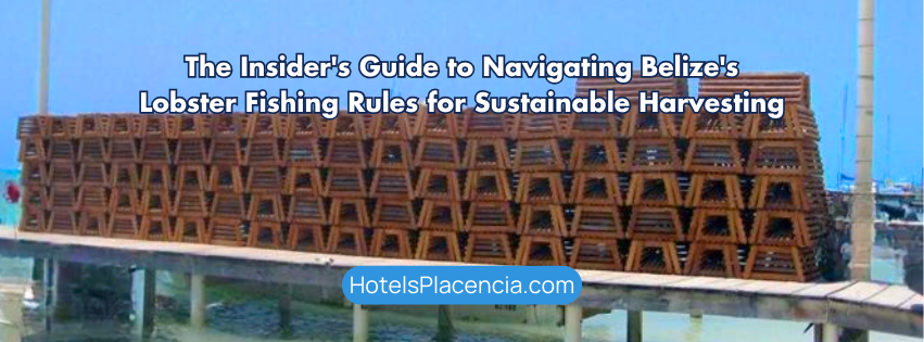 The Insider's Guide to Navigating Belize's Lobster Fishing Rules for Sustainable Harvesting website image