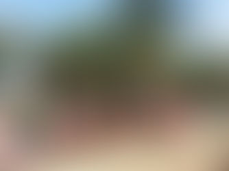 People checking out art at the Placencia Arts Festival