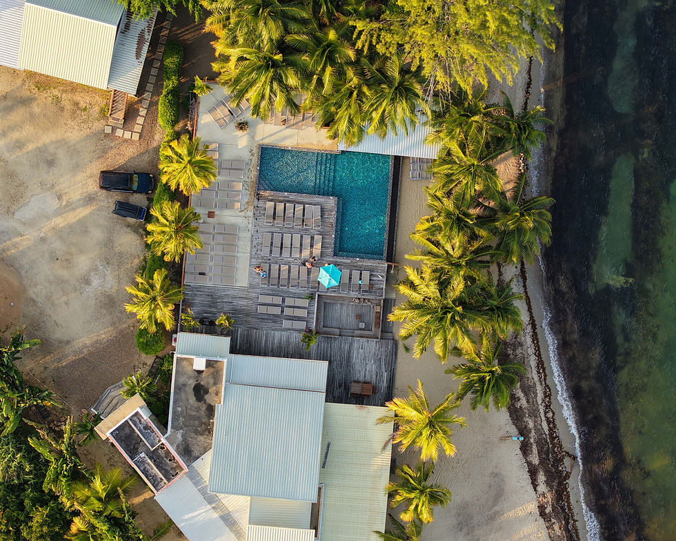 Aerial view of a beach resort with a blue pool, wooden deck, tan lounge chairs, and surrounding palm trees. Two people relax; sea nearby.