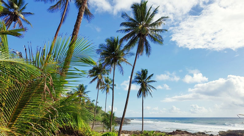 Praias do Resende e Tiririca