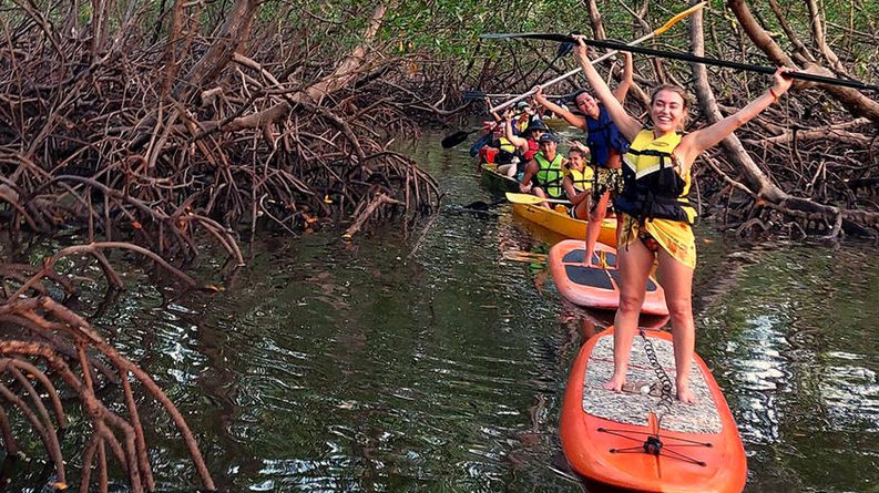 SUP no mangue em Boipeba