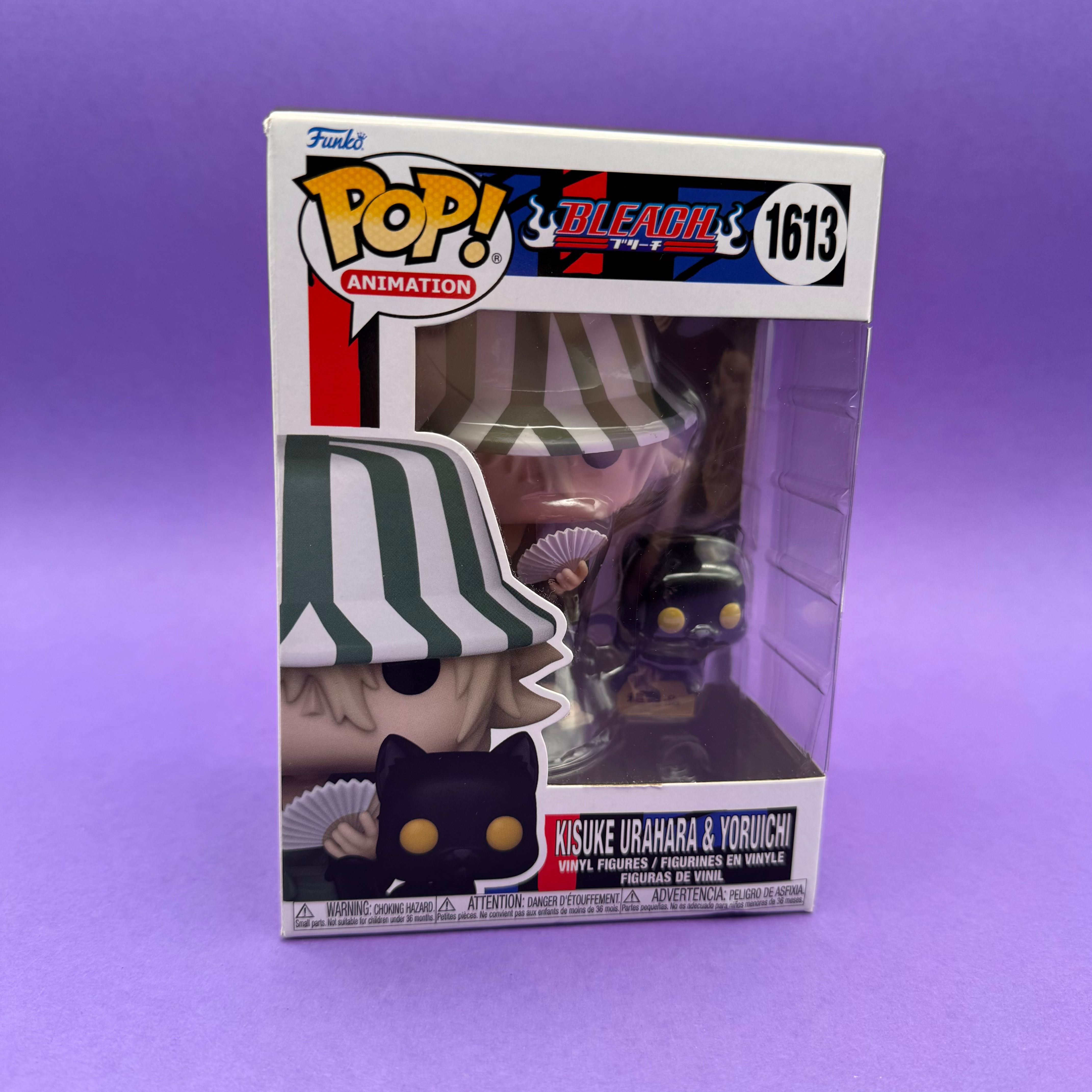 Bleach: Kisuke Urahara & Yoruichi No.1613