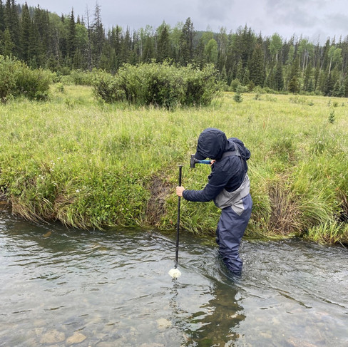 Deploying temperature loggers in Upper Fall Creek