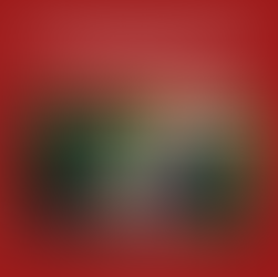 INV. Análisis de la Preparación del Sector Cafetalero en Honduras frente al Reglamento de Productos Libres de Deforestación de la Unión Europea